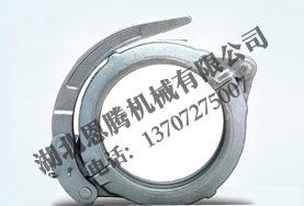 Fast low voltage bend buckle pipe clip 125